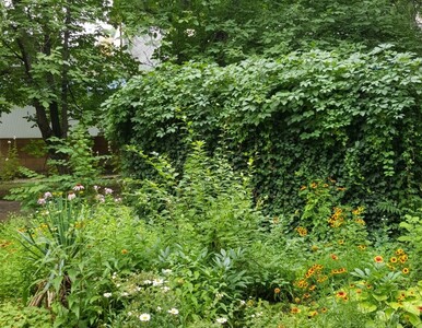 Миниатюра галереи