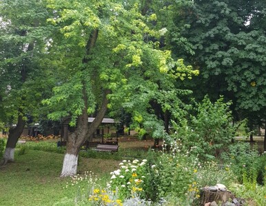 Миниатюра галереи