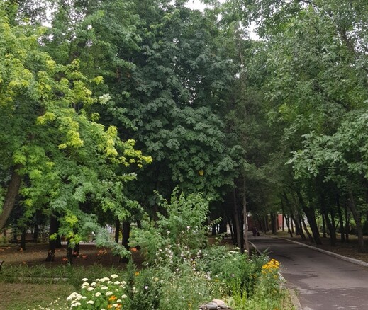 Слайд галереи санатория