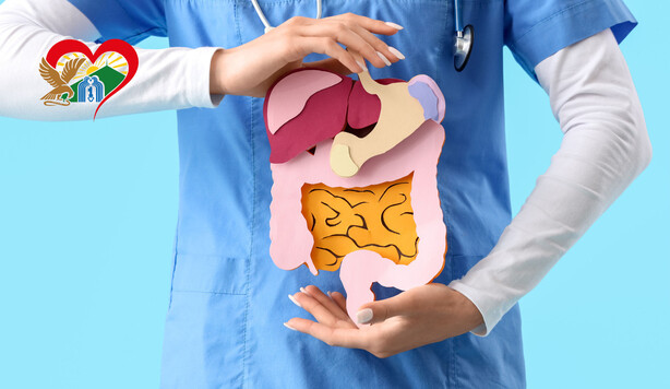 Здоровье пищеварения — «Общетерапевтическая»